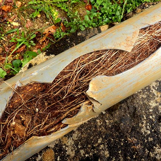 The Drain & Sewer Professionals In Maslin Beach